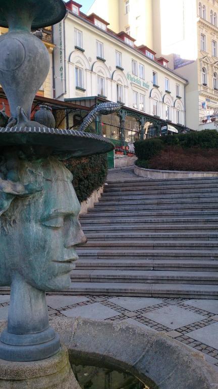 Hotel Chebsky Dvur - Egerlander Hof Karlovy Vary Exteriér fotografie